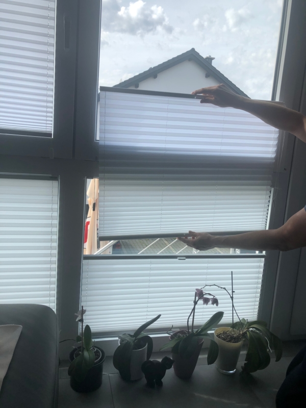 Farbunterschiede durch Fensterscheibe